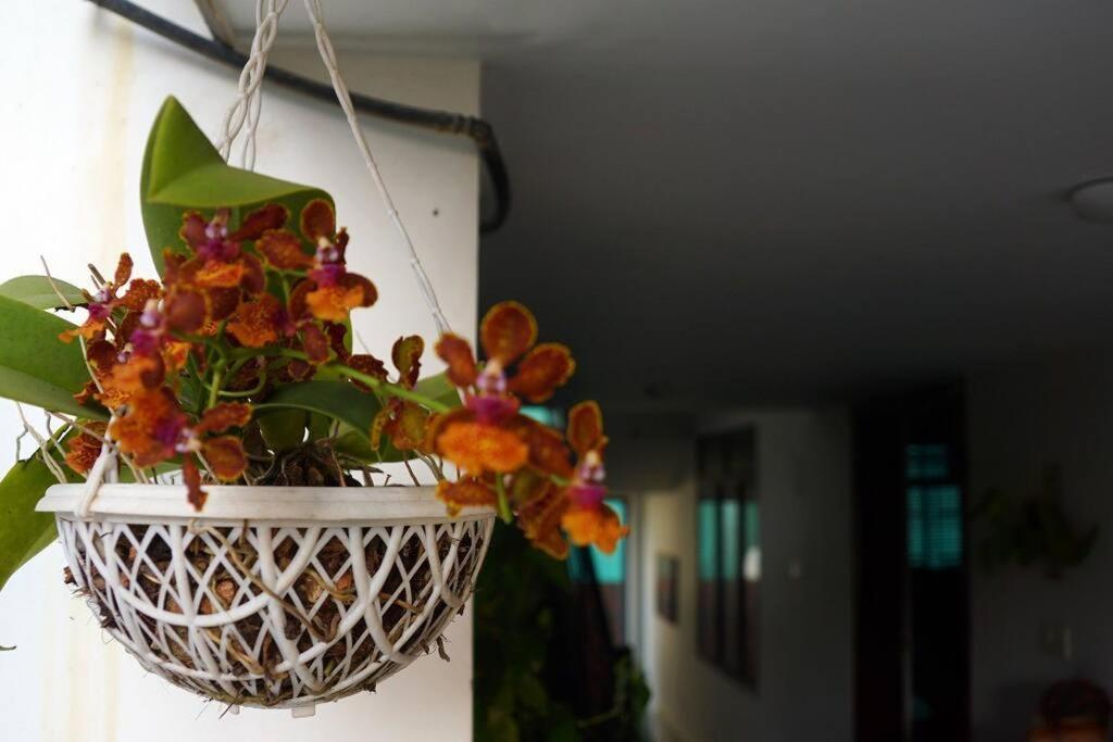 Sowparnika - A Family Home Experience Kochi Luaran gambar